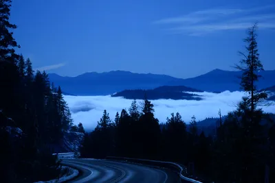 DSC_1055 (Large).JPG